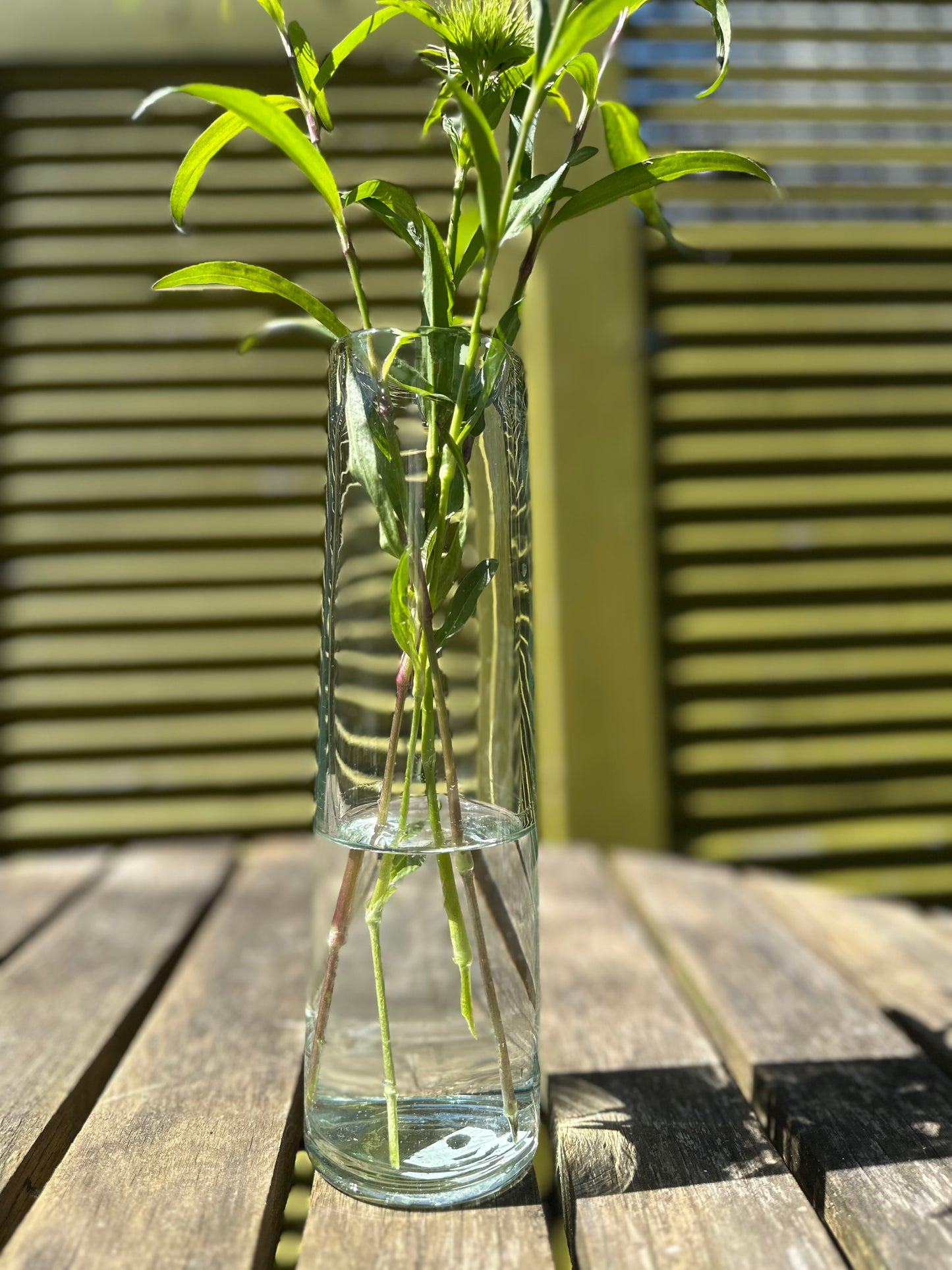 Xandra – Einstielige Vase aus Glas, H 23,5 cm